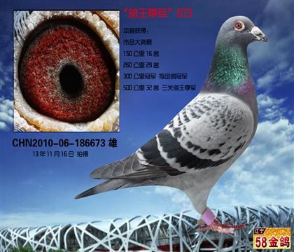 游܊