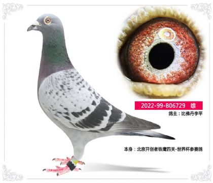 ]ƽ---_(chung)FP(gun)-籭ِ    	