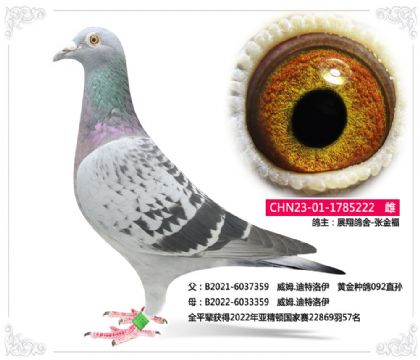 չ-    ---ķ.222   	