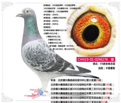 05־-dرȭh(hun)P(gun)C211   	