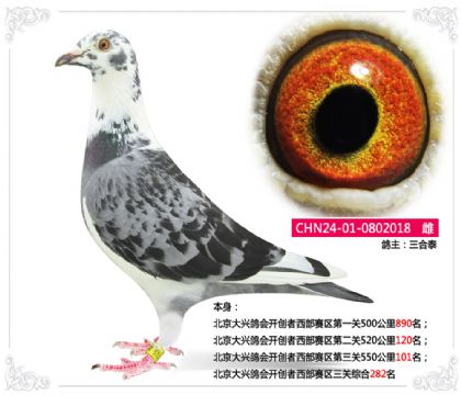 d(hu)_(chung)ِ^(q)P(gun)C282   	
