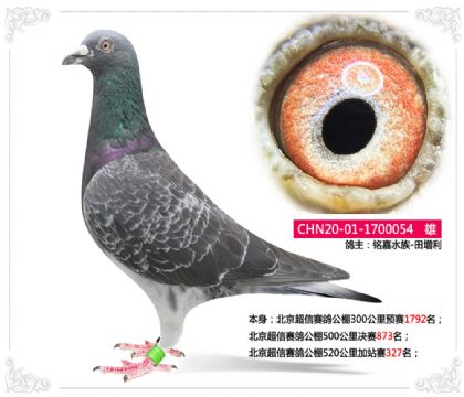 㑼ˮ-ِ520վِ327