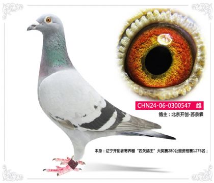 _(chung)-KȪ--|_߼B(yng)P(gun)ِ  	