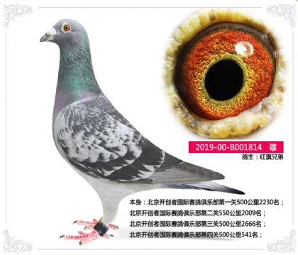 tֵ--_(chung)߇Hِ㘷P(gun)500541
