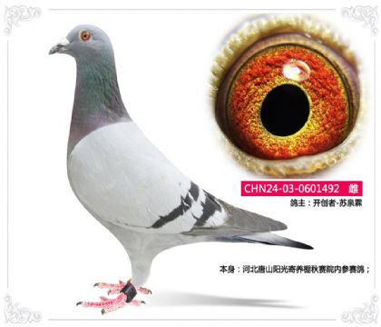 _(chung)-KȪ-ӱɽꖹB(yng)ِԺ(ni)ِ   	