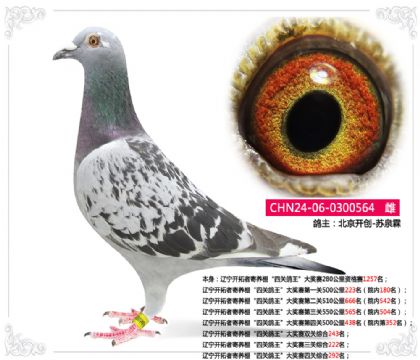 |_߼B(yng)P(gun)(jing)ِP(gun)C292   	