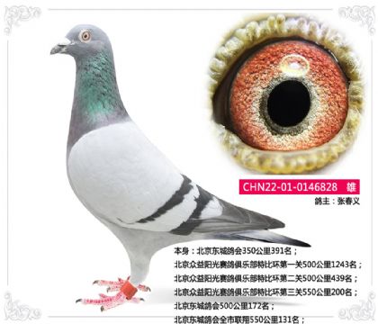|(hu)ȫ(lin)550131   	