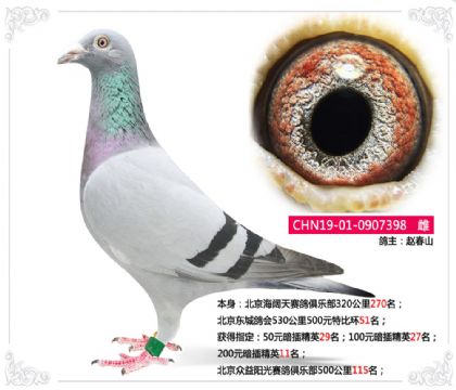 |(hu)530500Ԫرȭh(hun)51   	