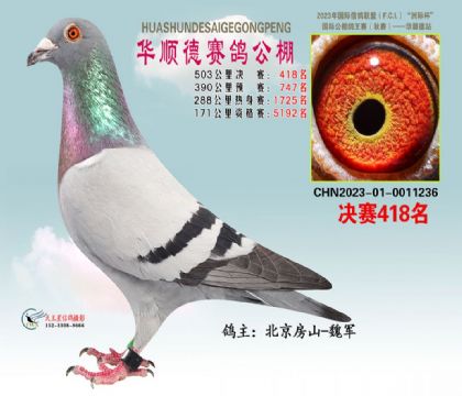 A혵ِ503Qِ418   	