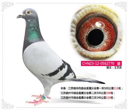 Kֱٷ֕P(gun)540124   	