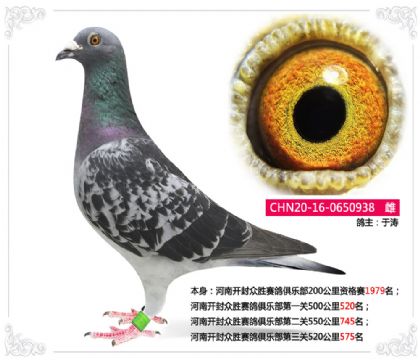 _ⱊِ㘷P(gun)520575   	