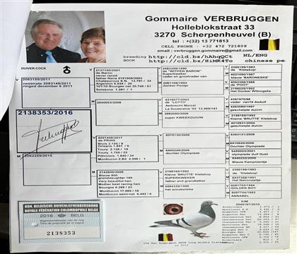 Ѫy(tng)ԭSĳ