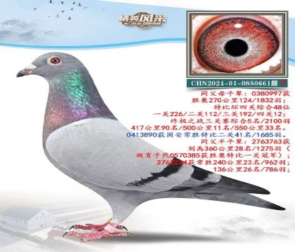 P(gun)C5ƽ݅.0880661