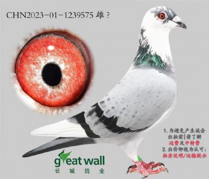 L(zhng)I(y)SӽѪO.1239575