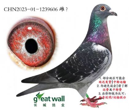 L(zhng)ǣ_(ki)(chung)܊O.1239606