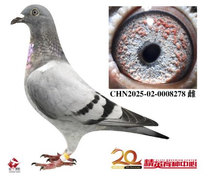 ҂pРֱŮ