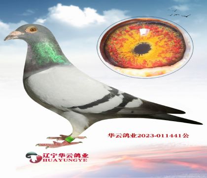 ϠͻѪֱXֱŮ  Ӛ