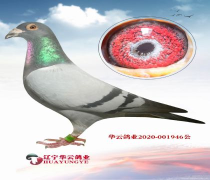 _X۴ơ䌦ֱOXu݆_ֱŮ