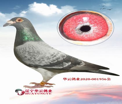 ֱXǪֱŮ
