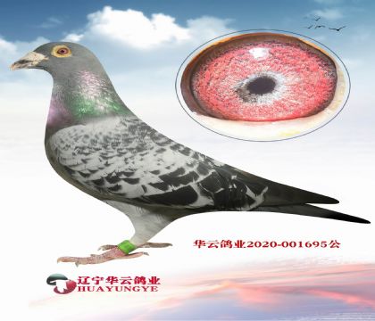 ϲgWһҪ  Wƥ003OXWƥֱ̖Ů