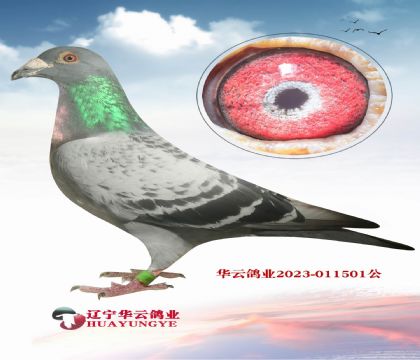 20fWֱX20fWֱŮ _۴ơػѪ