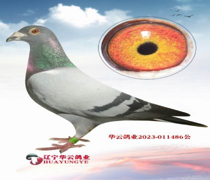r911피ֱXr911피ֱŮ