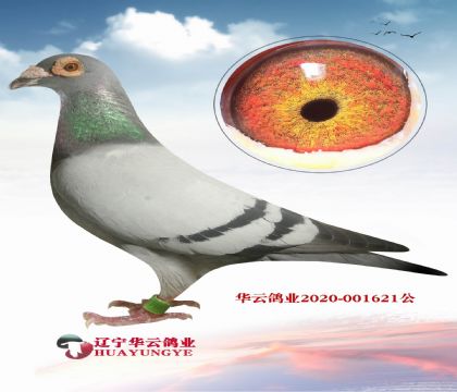 AƸ׵õֱX׵όOŮ
