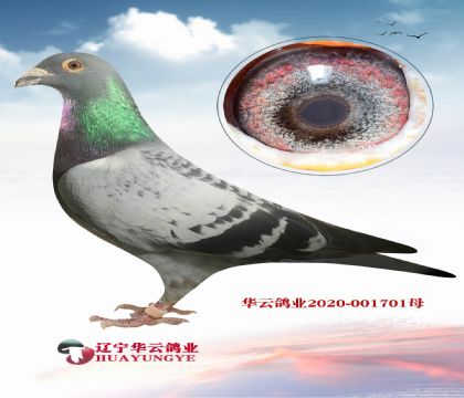 ŮѪ߶˷N _۴ơֱOXŮ