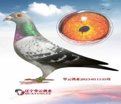 20fWֱX20fWֱŮ _۴ơػѪ