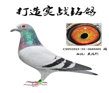 ̖HֱO