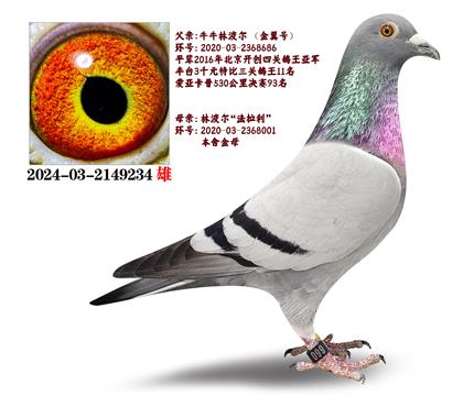 ţţֲXֲĸ