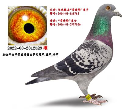 LI(y)ȱݡֱXֱŮHN