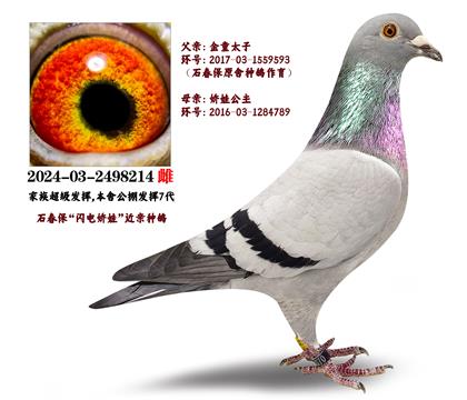 ʯɣʿͯHXW늋ޡ
