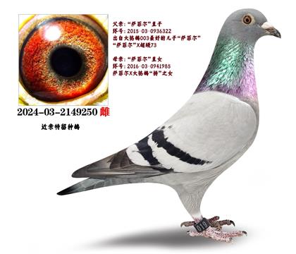 Wՠ_ƠHֱXֱŮN