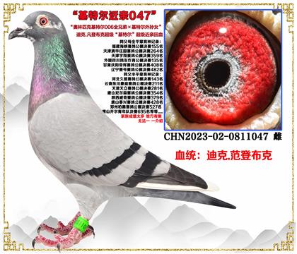 (c]ǲˡWƥ˻ؠ006ȫֵܡOŮ