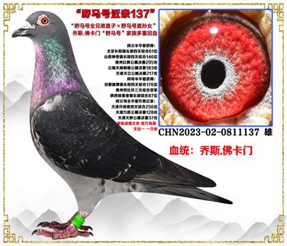 c]˹.TҰR̖ȫֱֵXҰRֱ̖OŮ