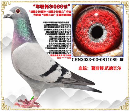 ˹Dߠ240ֱO240ֱŮѪ