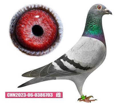 w-W늼703