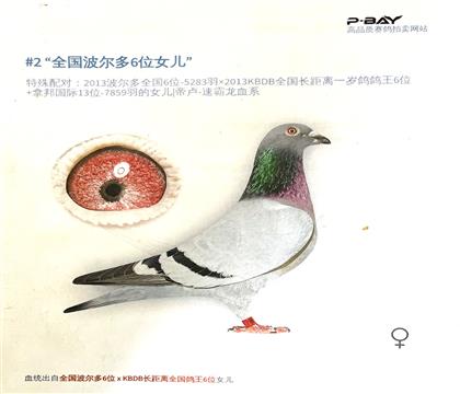 韋斯雷.林伯格----802 雌