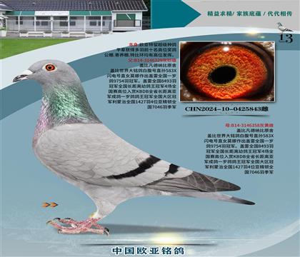 wԭʼһֱ329xֱŮ358