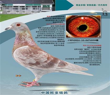 迪克凡登布克基特爾233x基特爾260