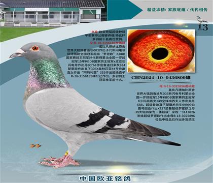 蓋比原舍魯?shù)?85x魯?shù)?96