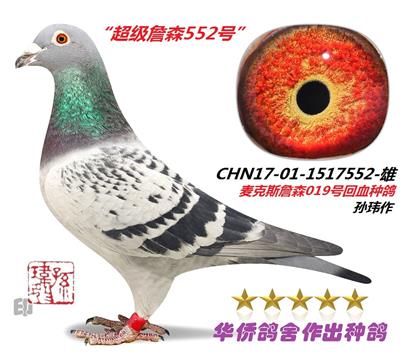 4̖--ղɭ019ϵѪN1517552-