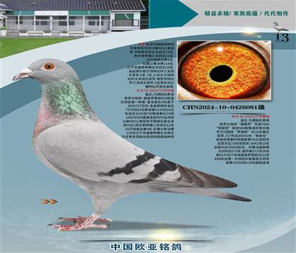 蓋比原舍羅密歐727布洛瓦3335羽7名x獵鷹號127