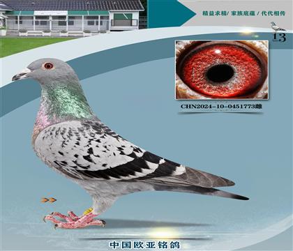 利奧原舍03近親327x楊628