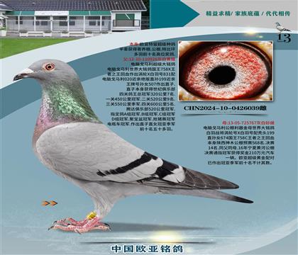 電腦老雄926超級鎮(zhèn)棚種公x金母767