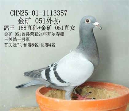 金礦 051外孫-3