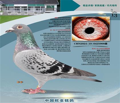 威廉迪布魯恩原舍542x523黃金配對