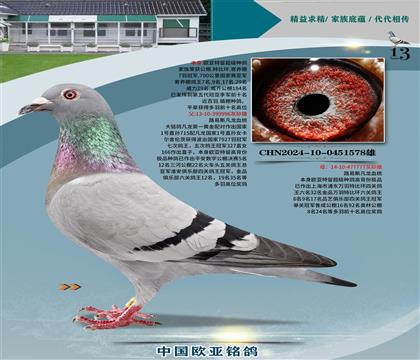 路易斯凡龍國家1號996x777金母近親