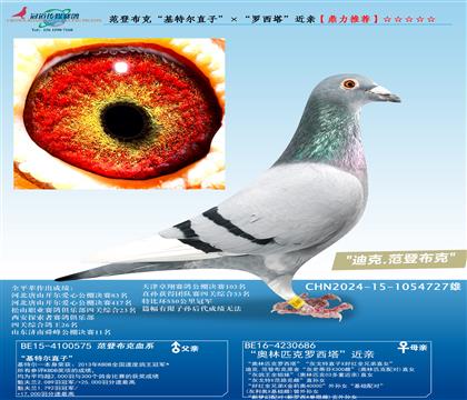范登布克“基特爾直子”ד羅西塔近親”